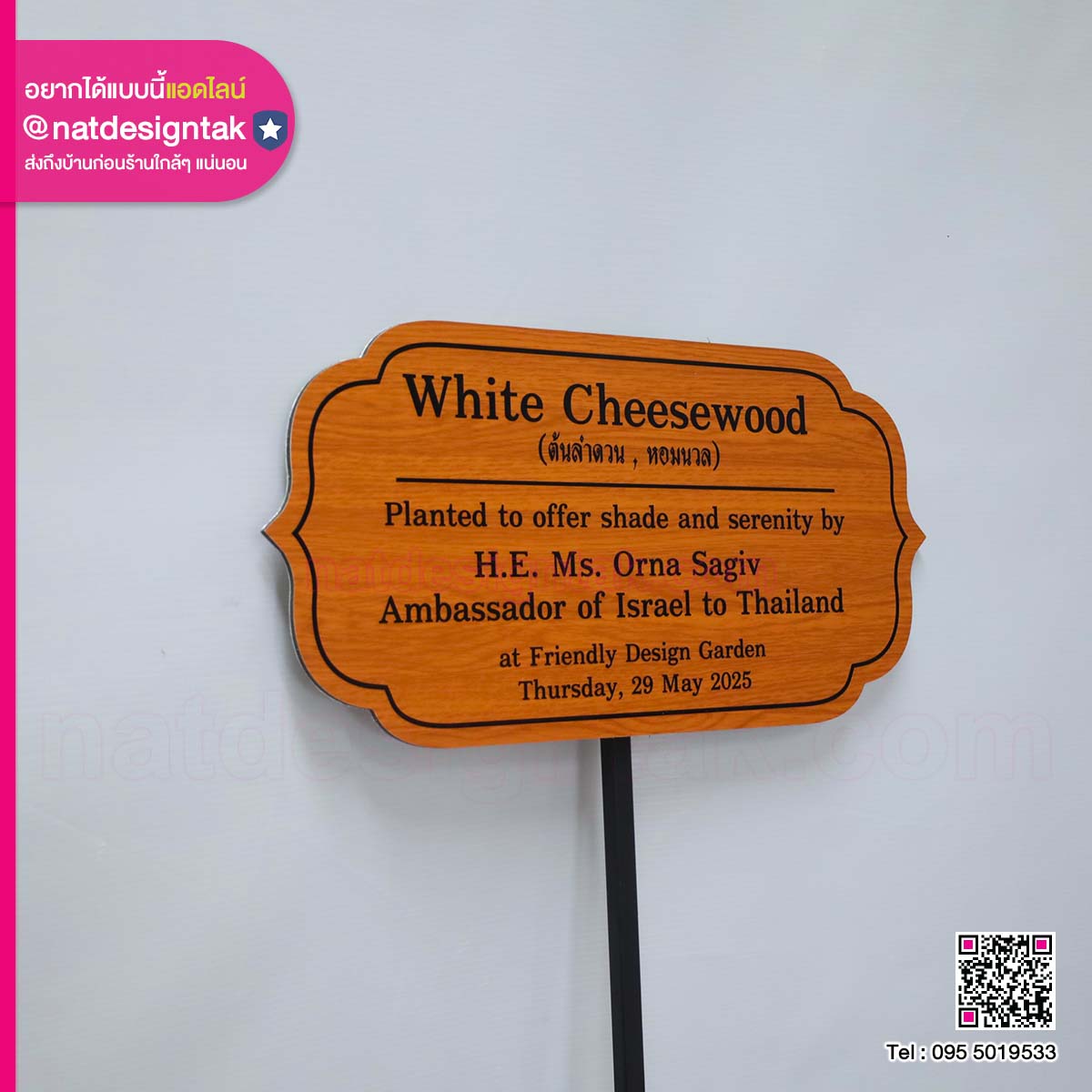 ป้ายชื่อต้นไม้ “White Cheesewood”