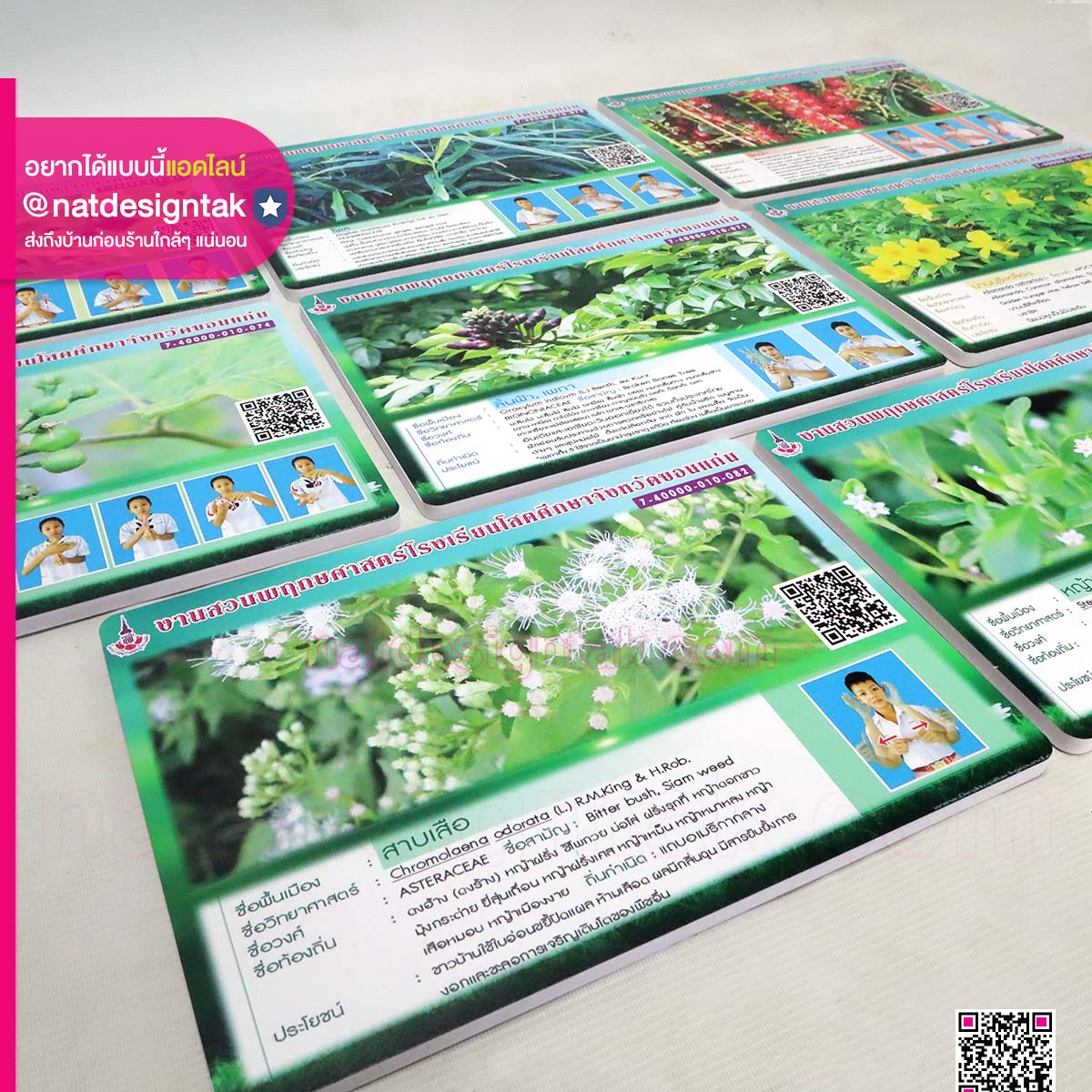 ป้ายชื่อต้นไม้โรงเรียนโสตศึกษา