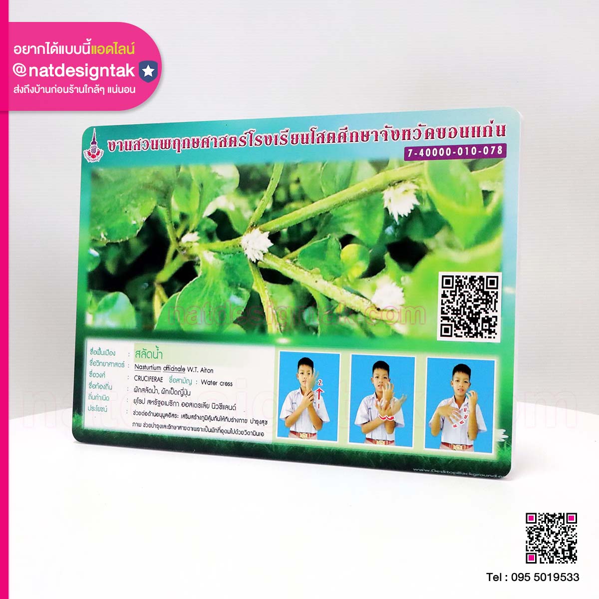 ป้ายชื่อต้นไม้โรงเรียนโสตศึกษา