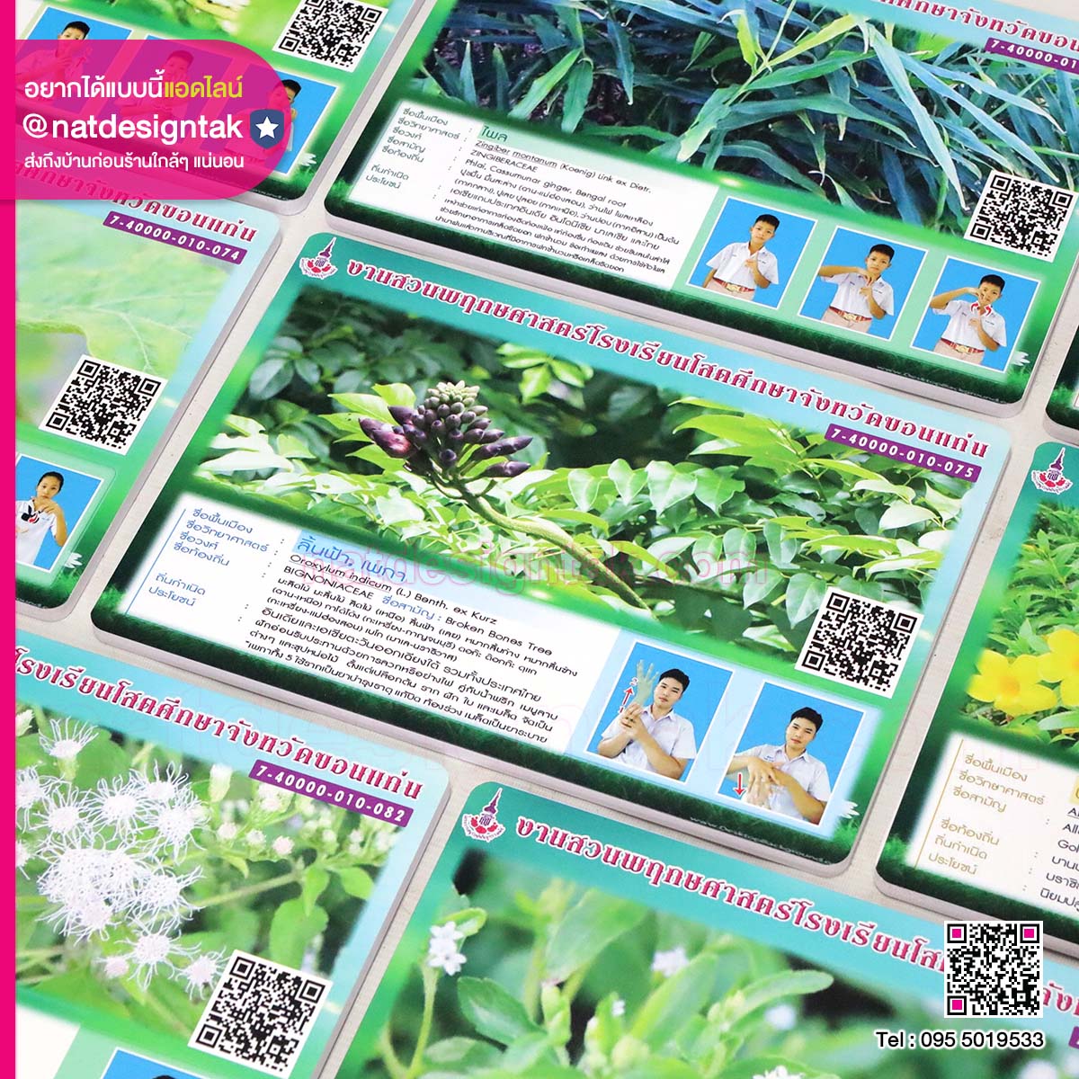 ป้ายชื่อต้นไม้โรงเรียนโสตศึกษา