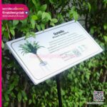 ป้ายต้นไม้ พร้อมขาเหล็ก