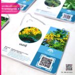 ป้ายพลาสวูดชื่อต้นไม้ แบบแขวน