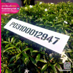 บล็อคพ่นสีไดคัทตัวอักษร