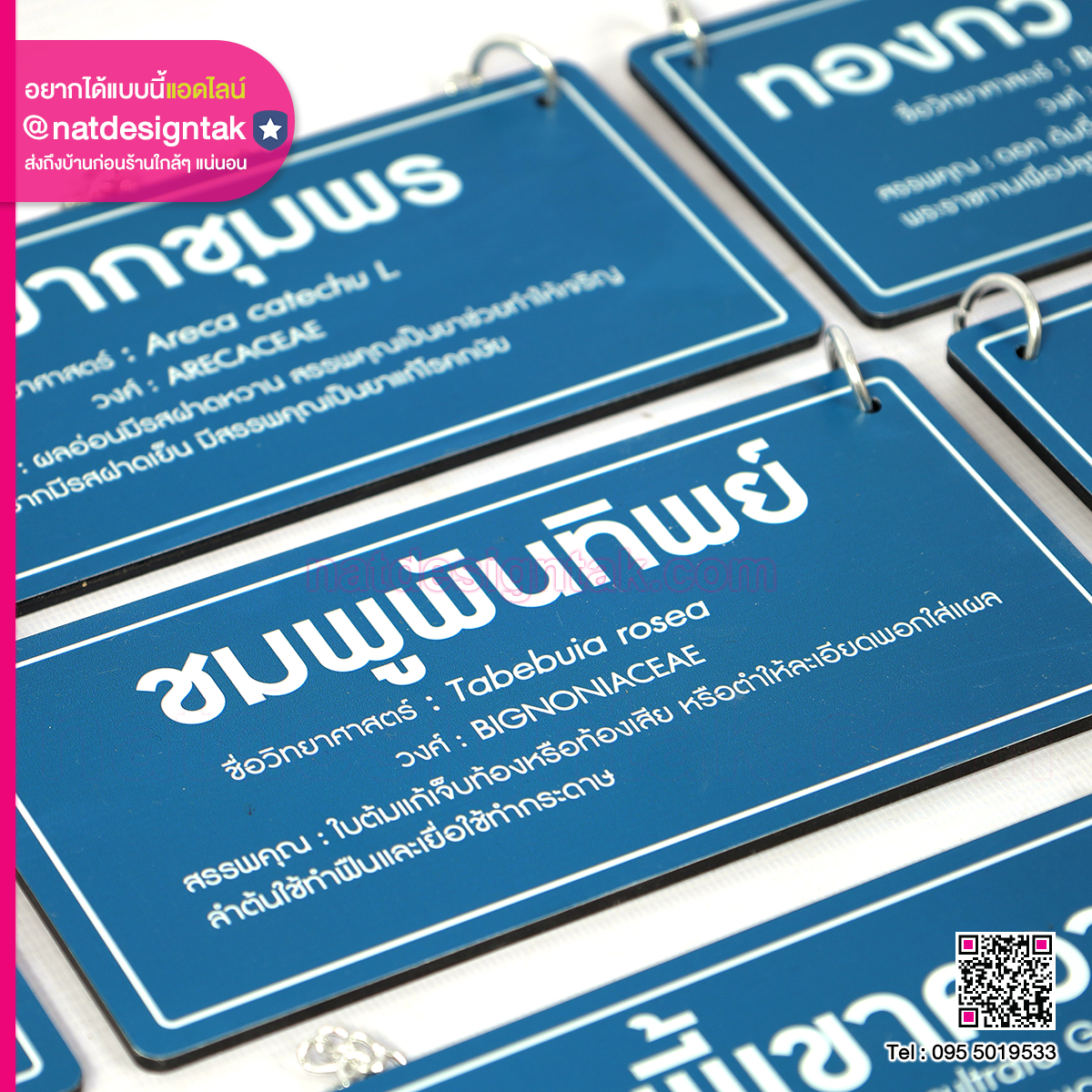 ป้ายชื่อต้นไม้คล้องโซ่สแตนเลส