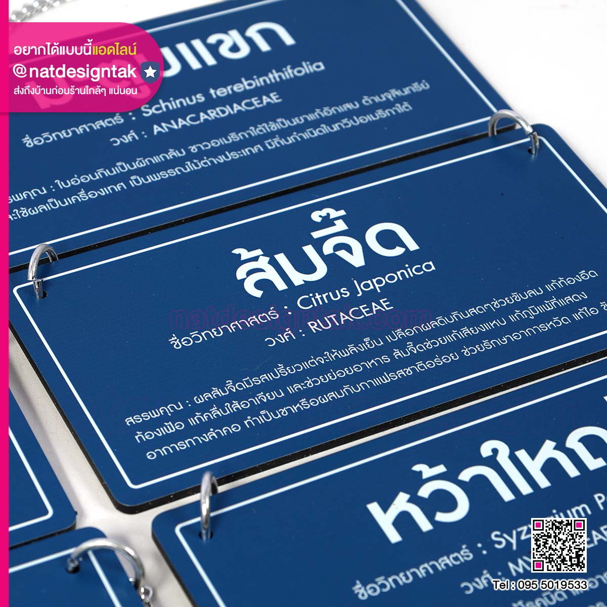 ป้ายชื่อต้นไม้พร้อมรูเจาะติดโซ่