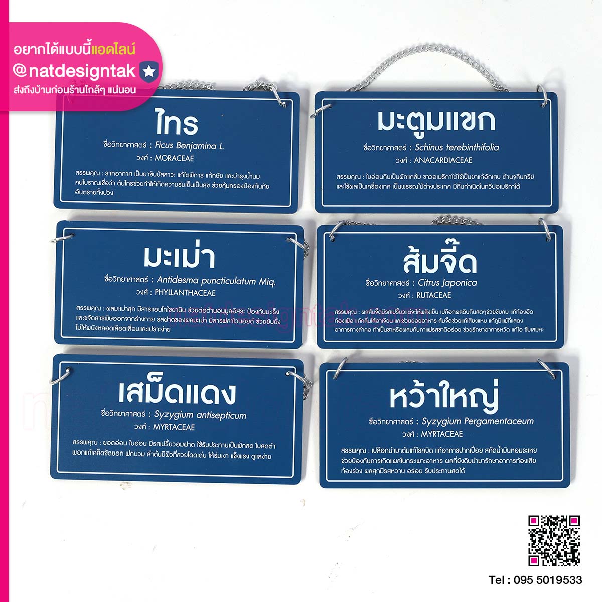 ป้ายชื่อต้นไม้พร้อมรูเจาะติดโซ่