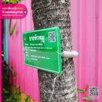 ป้ายชื่อต้นไม้พร้อมสายรัดสปริง