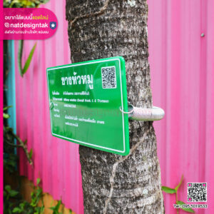ป้ายชื่อต้นไม้พร้อมสายรัดสปริง
