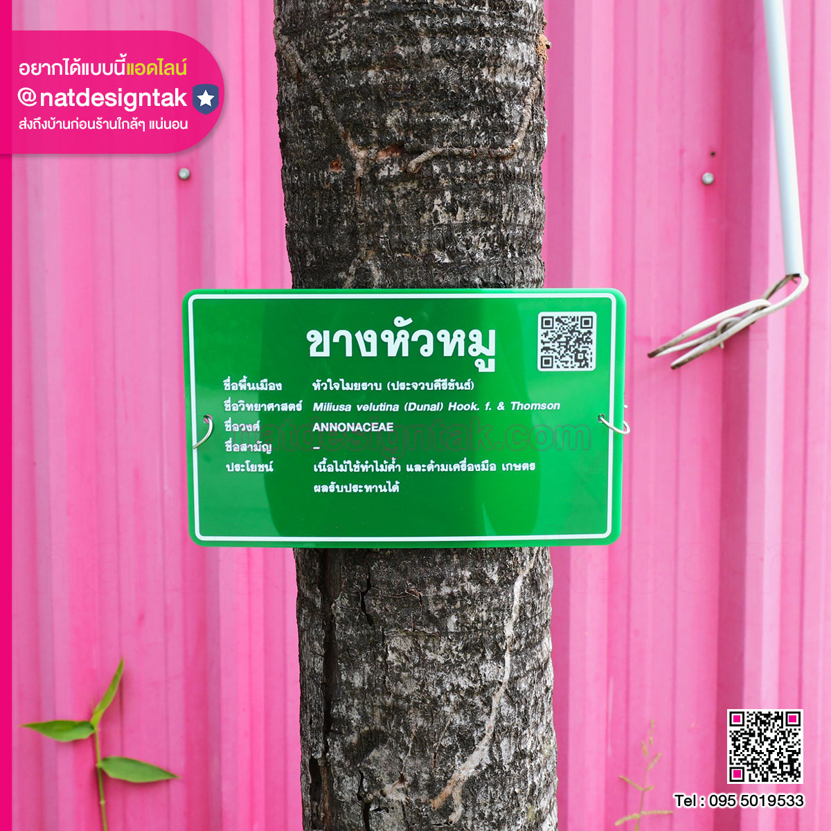 ป้ายชื่อต้นไม้พร้อมสายรัดสปริง