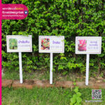 ป้ายชื่อต้นไม้พลาสวูดภาษาไทย- จีน