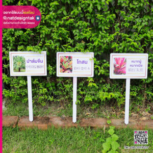 ป้ายชื่อต้นไม้พลาสวูดภาษาไทย- จีน