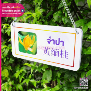 ป้ายชื่อต้นไม้พลาสวูดแบบแขวน