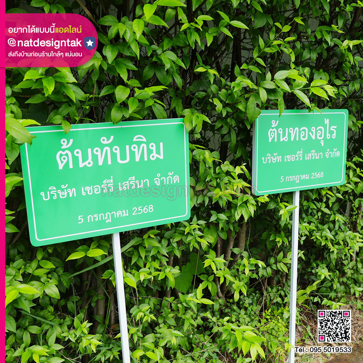 ป้ายชื่อต้นไม้ระบุชื่อพันธุ์ไม้ ชื่อบริษัท