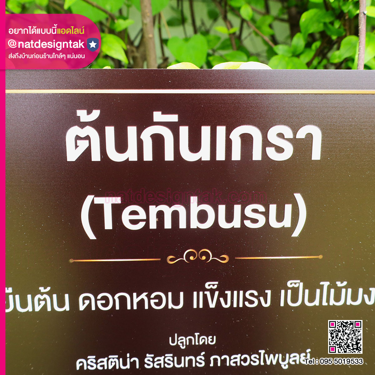 ป้ายชื่อต้นไม้แบบแขวนโซ่