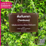 ป้ายชื่อต้นไม้แบบแขวนโซ่