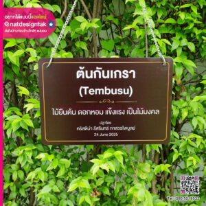 ป้ายชื่อต้นไม้แบบแขวนโซ่