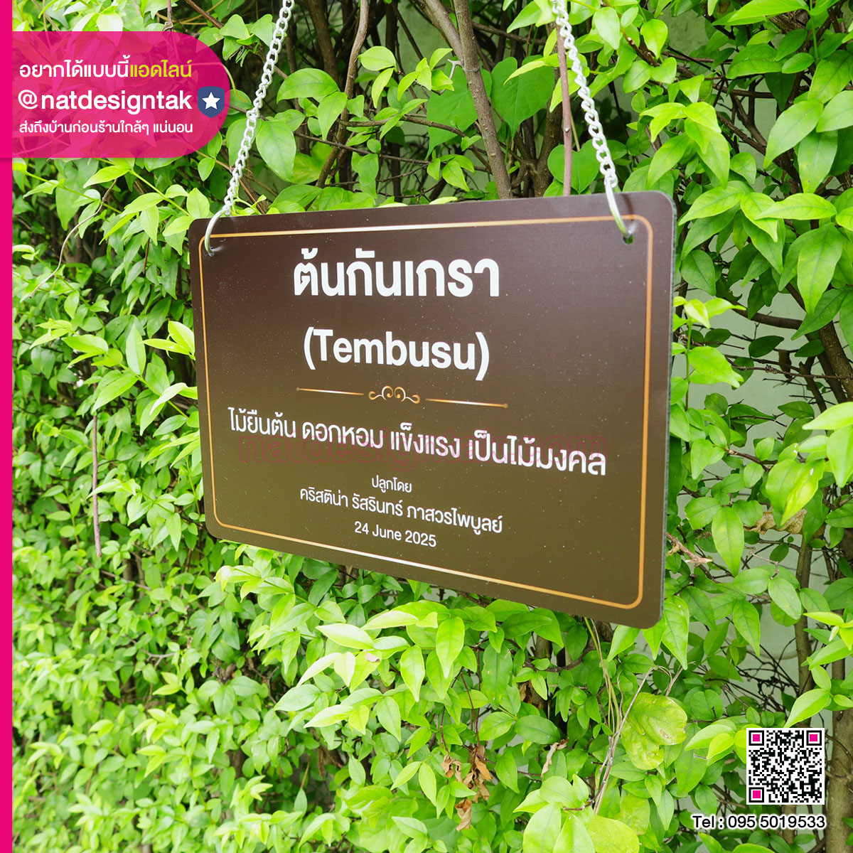 ป้ายชื่อต้นไม้แบบแขวนโซ่