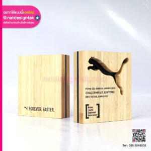 โล่รางวัลไม้ไผ่ ไดคัทโลโก้