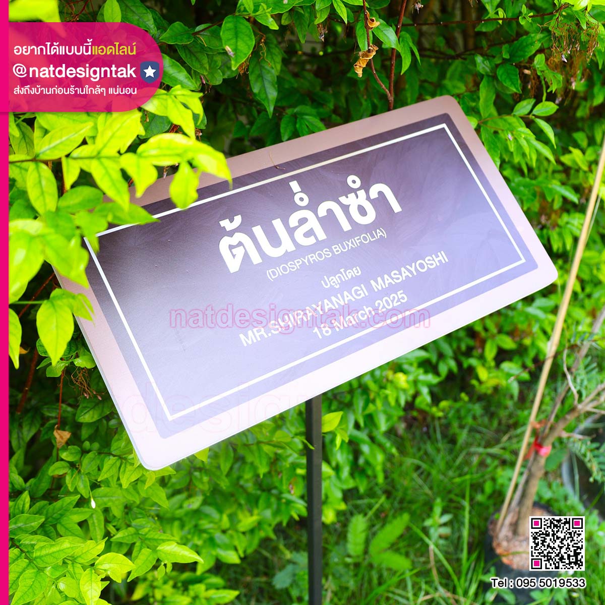 ป้ายชื่อต้นล่ำซำพร้อมขาตั้งเหล็ก