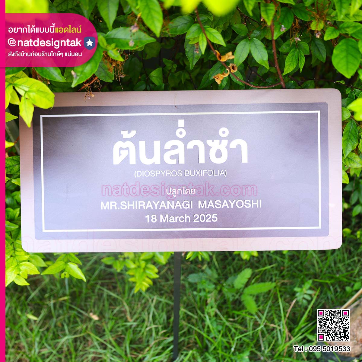 ป้ายชื่อต้นล่ำซำพร้อมขาตั้งเหล็ก