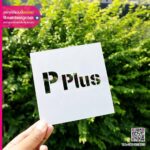 บล็อคพ่นสี Pplus