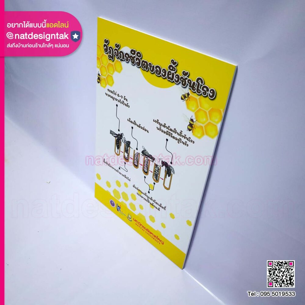 ป้ายพลาสวูดผึ้งชันโรง