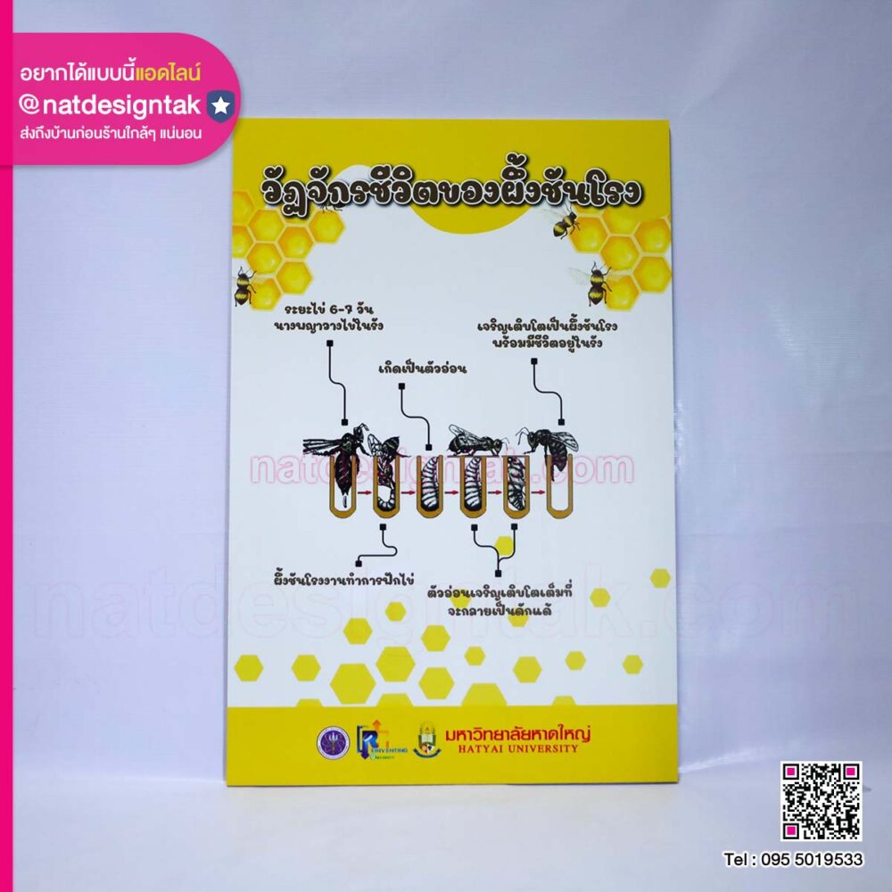 ป้ายพลาสวูดผึ้งชันโรง