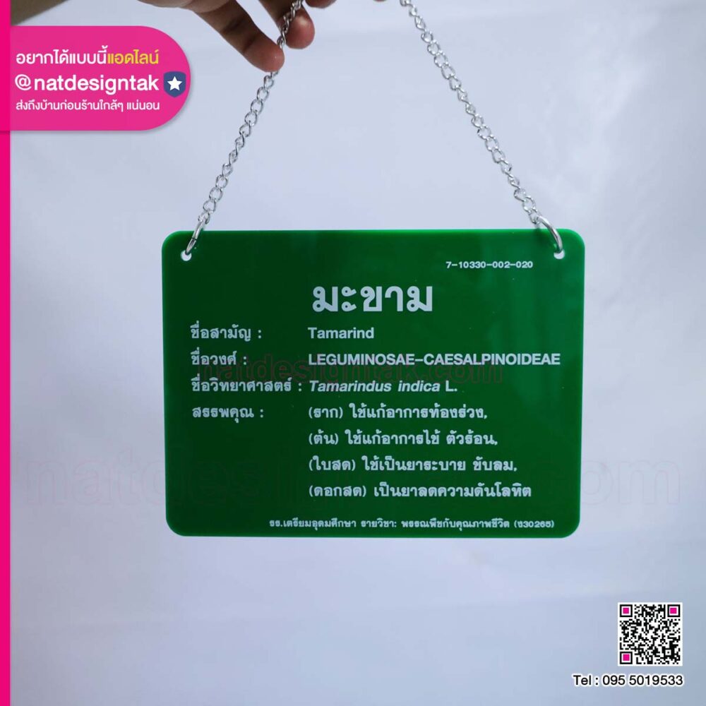 ป้ายชื่อต้นไม้อะคริลิคเขียวทึบ