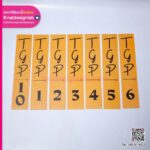 แผ่นแม่เหล็ก TGP