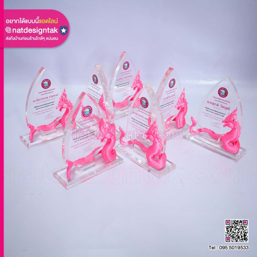 โล่รางวัลอะคริลิคตกแต่ง 3D Print