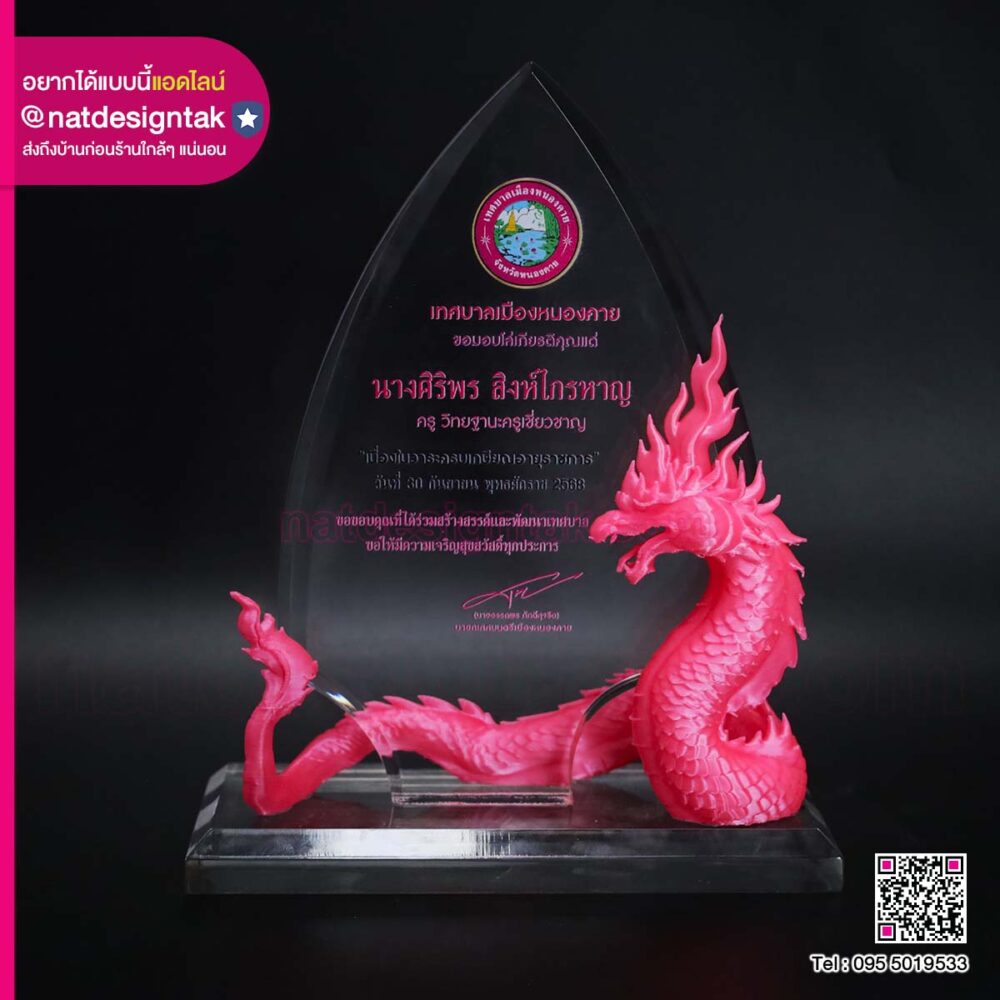 โล่รางวัลอะคริลิคตกแต่ง 3D Print