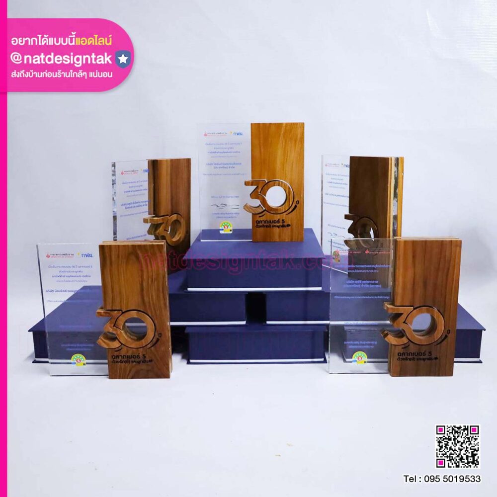 โล่ไม้ 30 ปี กฟผ.