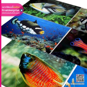 กรอบลอยงานพิมพ์ตกแต่งผนัง