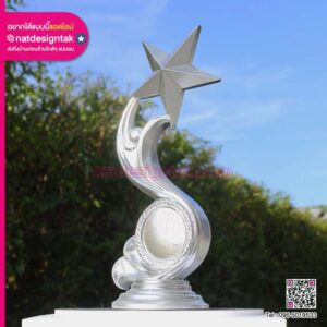 โล่รางวัลดาว 3D