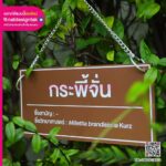 ป้ายแขวน