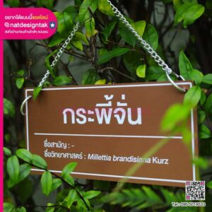 ป้ายแขวน