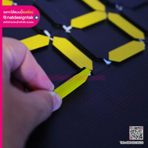 ฟิวเจอร์บอร์ด