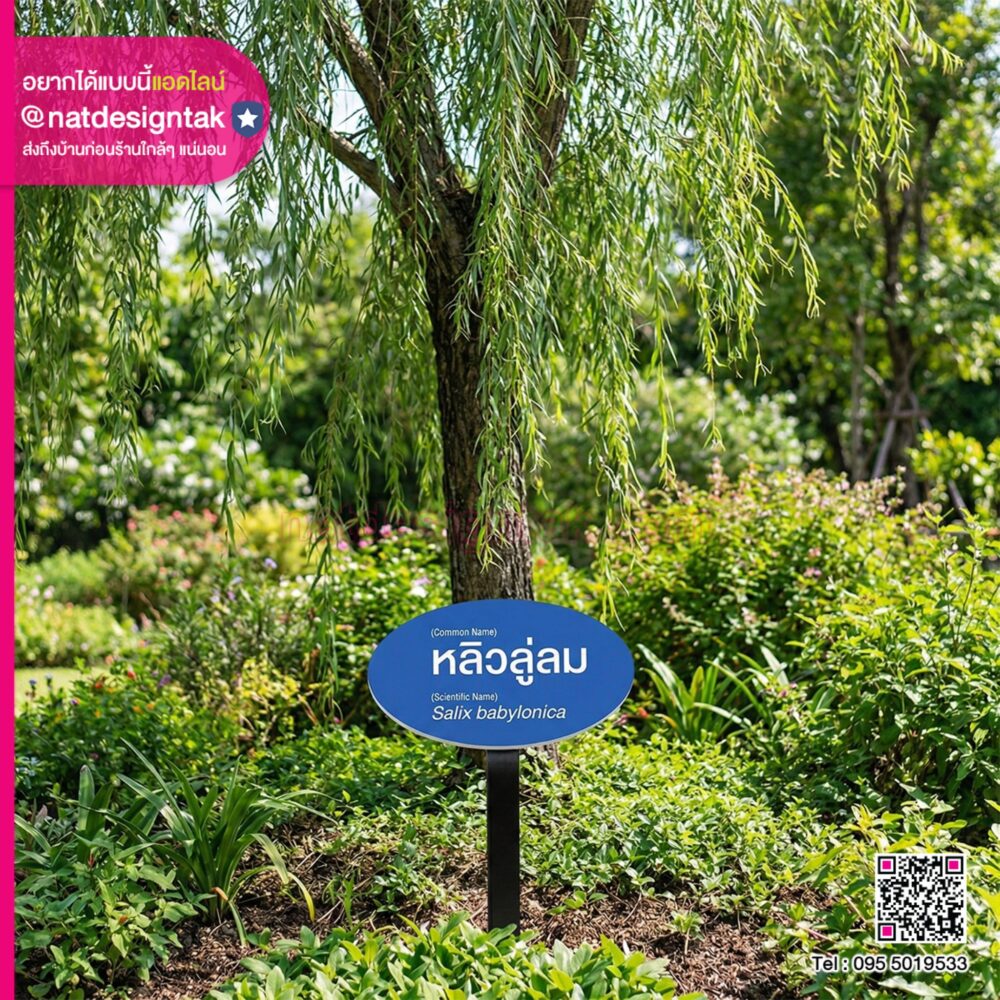 ป้ายชื่อต้นไม้ พลาสวูด พิมพ์ UV ตัวอักษรภาษาไทยและชื่อวิทยาศาสตร์คมชัด