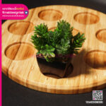 ถาดหลุมไม้สัก พร้อมกระถางต้นไม้ตกแต่ง