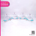 โล่รางวัล คนดีศรีอนุบาลกำแพงเพชร อะคริลิคใส 4 ชิ้น