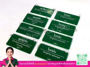 ป้ายชื่อต้นไม้ Park11 แบบแขวน อะคริลิคสีเขียวหลายชิ้น