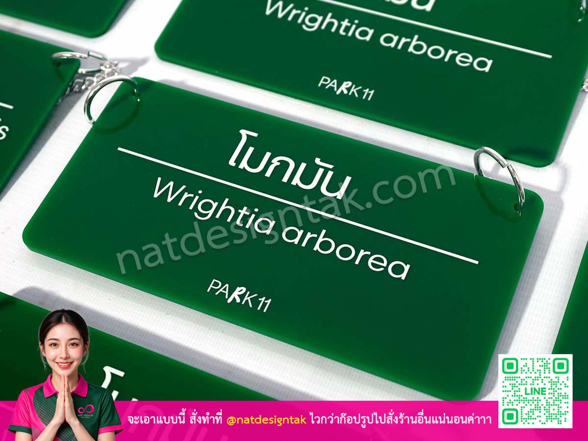 ป้ายชื่อต้นไม้ Park11 แบบแขวน รายละเอียดงานพิมพ์ยูวี