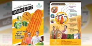โปสเตอร์โฆษณาข้าวโพดพันธุ์พรีเมียร์ 555 แสดงภาพข้าวโพดสีเหลืองทองและเกษตรกรไทย พร้อมข้อมูลประโยชน์และวิธีการปลูก