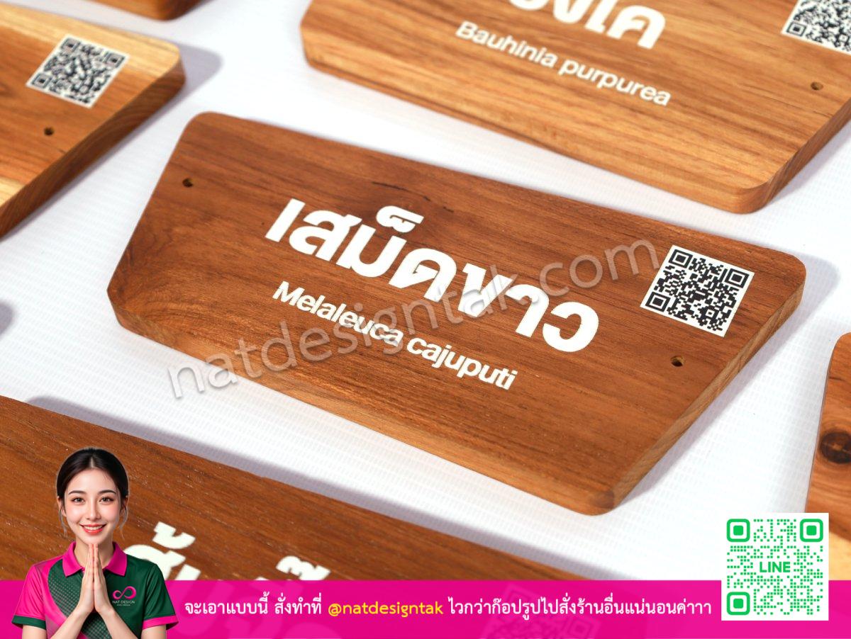 ป้ายชื่อสายพันธุ์ไม้ Melaleuca cajuputi งานพิมพ์สียูวี