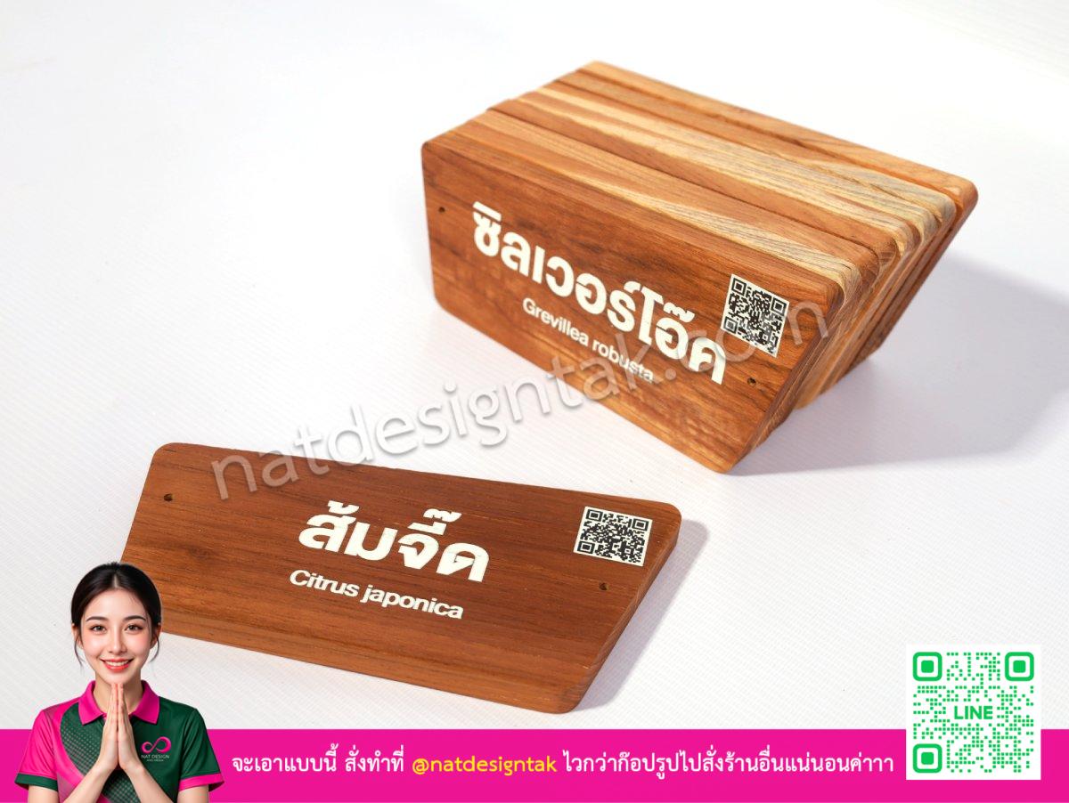 ป้ายไม้สักชื่อต้นไม้ Grevillea robusta พร้อม QR Code
