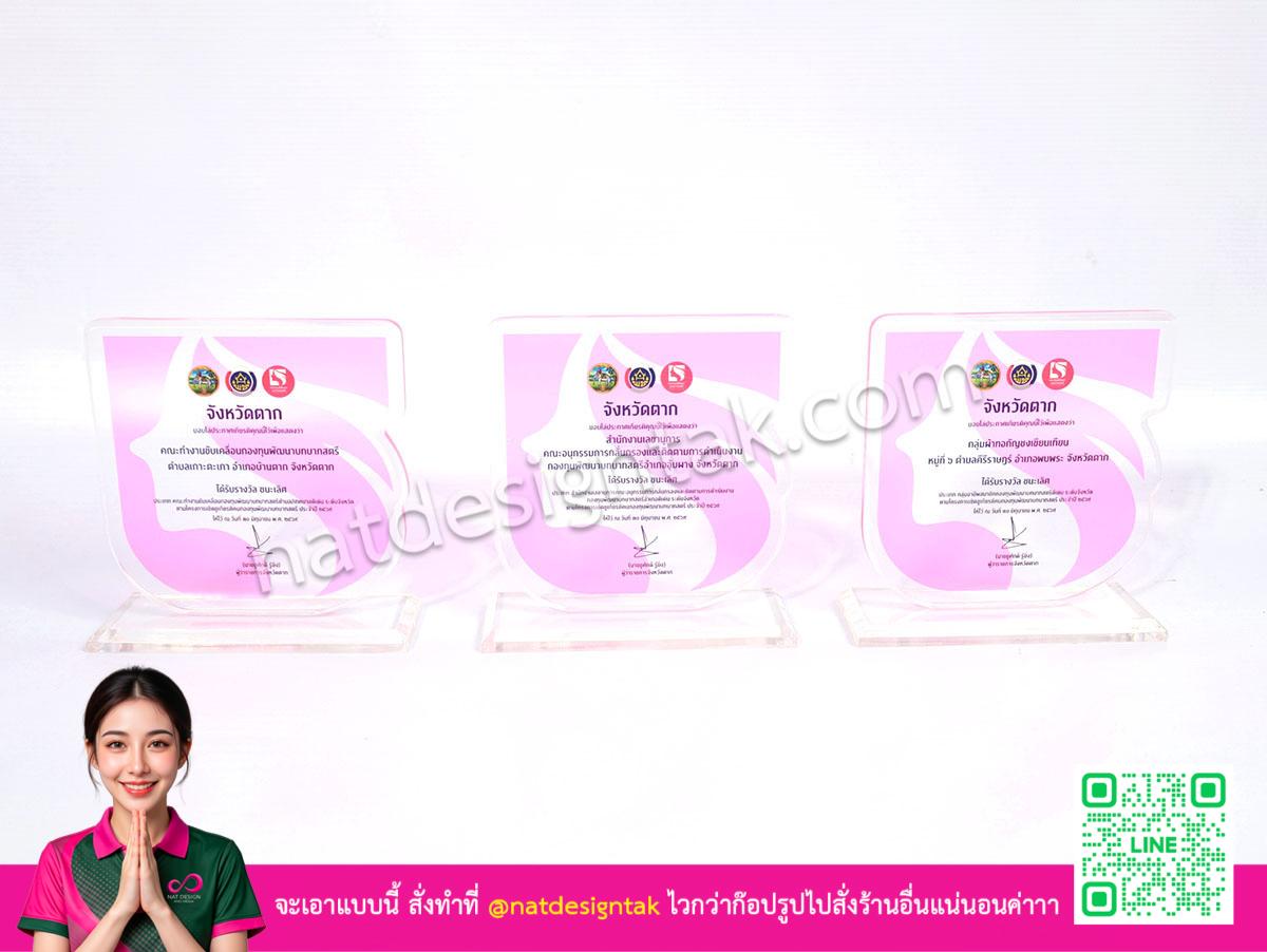 เหรียญและโล่รางวัล ทีมสตรี สีพิงค์สดใส